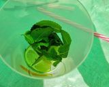 Foto del paso 4 de la receta: Mojito