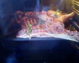 Foto del paso 4 de la receta Cabrito lechal asado