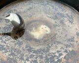 Foto del paso 1 de la receta: Pollo al disco