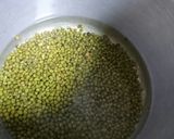 Foto langkah ke 1 dari resep Bubur Kacang Ijo Tanpa Ketan.