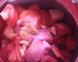 A picture of step 2 of Red veggies soup.