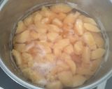 Une image de l'étape 1 de Confiture de coing.