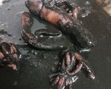 Foto del paso 6 de la receta: Txipirones en su tinta