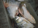 Pepes Ikan Bader