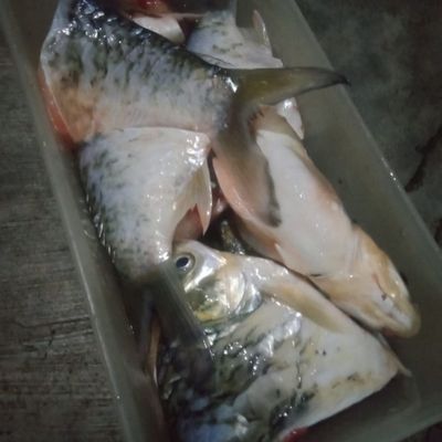Langkah 1