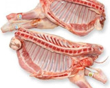 Foto del paso 1 de la receta: Lechazo castellano asado