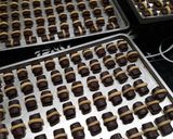 Foto langkah ke 9 dari resep #21 Chocolate Stick Cookies #BikinRamadhanBerkesan.