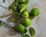 A picture of step 1 of Gondhoraj Lemon ginger honey Tea.