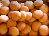 حلوة