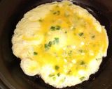 Foto langkah ke 5 dari resep Telur Dadar Daun Bawang.