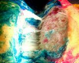 Foto langkah ke 12 dari resep RainBow Bread KSB.