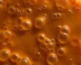Foto del paso 2 de la receta: Salmorejo cordobés sin pan