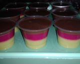 Foto langkah ke 6 dari resep 13. Puding 3 Rasa (Alpukat Buah Naga Coklat).