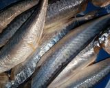 Foto langkah ke 1 dari resep Ikan Dencis Balado.