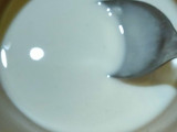 Biji Salak Kolang Kaling