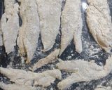 Foto del paso 2 de la receta: Merluza al horno con ensalada