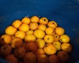 Foto del paso 6 de la receta: Ponche de frutas navideño