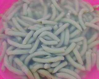 177. Dawet Beras Daun Suji (Homemade) - Step 4