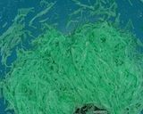 Foto langkah ke 1 dari resep Putu mayang bihun jagung.