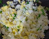 Foto langkah ke 4 dari resep Nasi Goreng Teri Cabe Ijo.