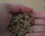 Foto del paso 2 de la receta: Lentejas