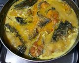 Foto langkah ke 6 dari resep Ikan Patin kuah santan.