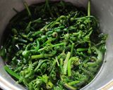 Foto langkah ke 1 dari resep Tumis Pakis + Tempe.