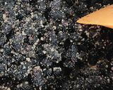 รูปขั้นตอนการทำที่ 3 ของ แยมมัลเบอร์รี่สด Mulberry Jam