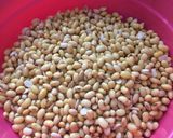 Foto langkah ke 2 dari resep Susu kacang.