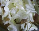 Foto langkah ke 5 dari resep Tongseng Ayam.