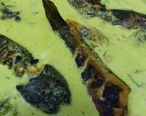 Gambar langkah 4 resipi Masak Lemak Cili Api Keli Salai Campur Pucuk Paku.