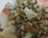 A picture of step 5 of Sprouts.