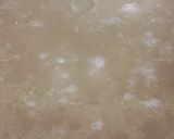 A picture of step 4 of Ghee masala rice.