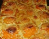 Foto do passo 5 de Clafoutis de damasco