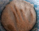 Foto del paso 6 de la receta: Ciabatta integral
