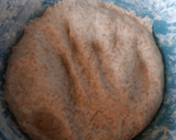 Foto del paso 6 de la receta: Ciabatta integral