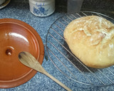 Foto del paso 11 de la receta: Pan Rústico
