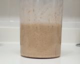 Foto del paso 4 de la receta: Masa madre de espelta integral
