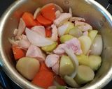 Foto langkah ke 2 dari resep Japanese Chicken Curry 🍛 Favorit Anak.