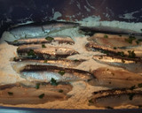 Foto del paso 4 de la receta: Boquerones en adobo sevillano