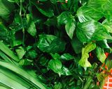Hình bước làm 4 của món Rau câu