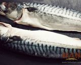 三味球薄鹽鯖魚套餐-兩人小餐桌的食譜步驟5照片