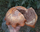 Foto del paso 5 de la receta: Budín Marmolado