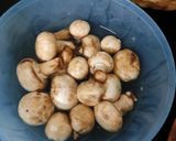 A picture of step 1 of Straw mushroom with gravy.