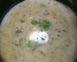 Brocolli Potato Soup recipe step 5 photo