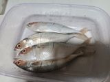 Ikan Kembung Kukus pedas