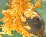 A picture of step 2 of Fried Momo with noodles stuffing.