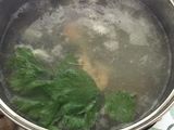 SOP cap-cay