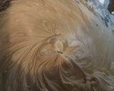 Une image de l'étape 2 de 🍦 Crème glacée à la vanille.