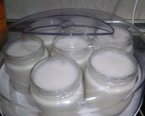 Foto del paso 4 de la receta: Yogur casero con leche de coco